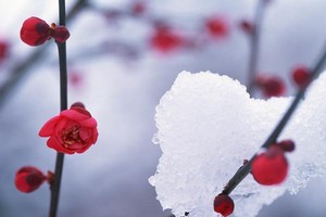 （圖源：互聯網） 