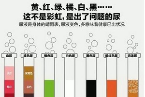 （示意圖源：互聯網） 