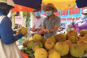 （圖源：互聯網） 