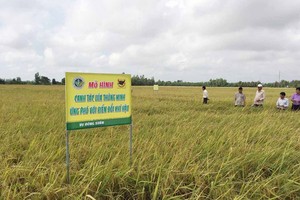 （示意圖源：互聯網） 