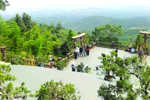 越南遊客對即興旅程需求日增。