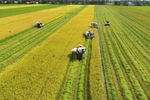 （示意圖源：互聯網） 