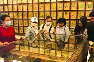 遊客參觀平陽省順安市的Fito博物館。