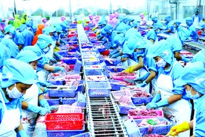 我國水產出口業績可觀。