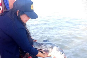 （圖源：互聯網） 