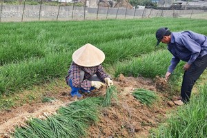 （示意圖源：互聯網） 