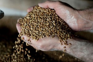 （示意圖源：互聯網） 