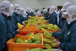 （示意圖源：互聯網） 