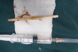 （圖源：互聯網） 