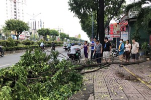 （圖源：互聯網） 