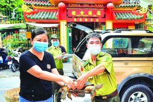 為了繼續做好保護野生動物的工作，福建溫陵會館(觀音廟)昨(14)日上午與古芝野生動物保護中心配合，將該會館放生池及會館內的龜打撈上來，以釋放到自然環境中。