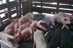 （示意圖源：互聯網） 