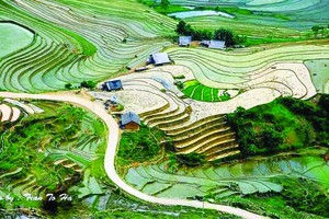 梯田風光 