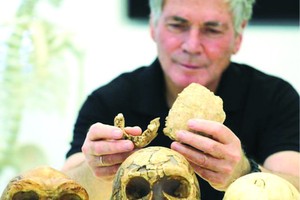 （圖源：互聯網） 