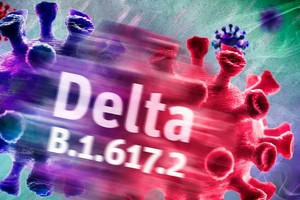 （圖源：互聯網） 