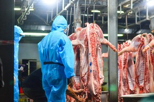 （示意圖源：互聯網） 