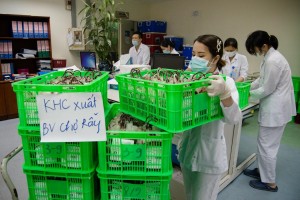 （圖源：互聯網） 