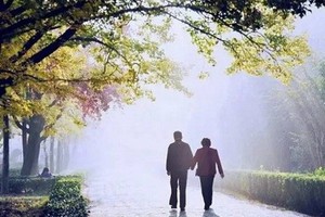 （示意圖源：互聯網） 