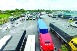 防疫規定不一導致大量貨車滯留。