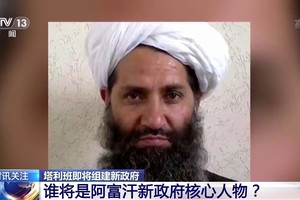 （圖源：CCTV 13） 