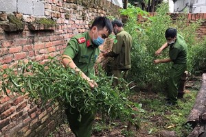 （圖源：互聯網） 