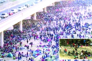 （圖源：互聯網） 