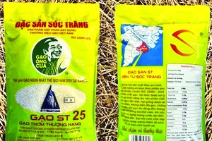 （示意圖源：互聯網） 