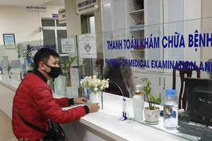 （圖源：https://www.vietnamplus.vn/） 