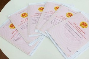 （示意圖源：互聯網） 