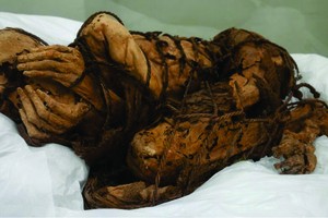 木乃伊保存完好，被繩子綁並用手蒙住臉。（圖源：互聯網）