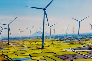 （示意圖源：互聯網）