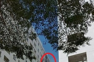 （圖源：互聯網）