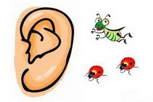 （示意圖源：互聯網）