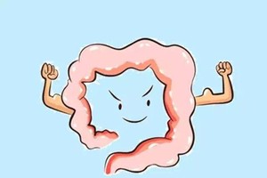 （示意圖源：互聯網）