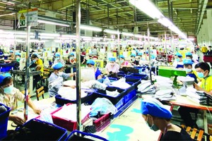 土龍木市大登工業區金昌鞋廠的工人。