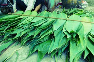 （示意圖源：互聯網）