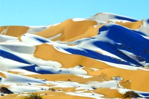 （圖源：互聯網）