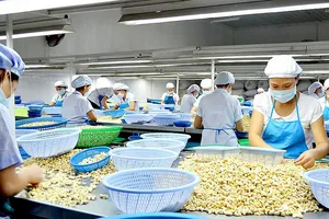 Hội nghị Điều quốc tế lần thứ 14 – “Điểm hẹn vàng” ngành điều toàn cầu