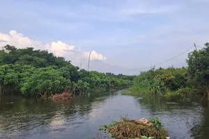 Xã Hồ Tràm: Ngập hàng chục ha đất sản xuất, nông dân thiệt hại nặng