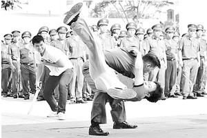 特別專案隊戰功顯著