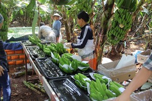 （圖片來源：互聯網）