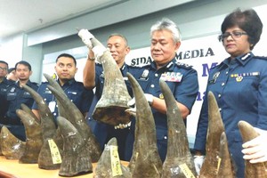 馬來西亞海關繳獲 18 根犀牛角