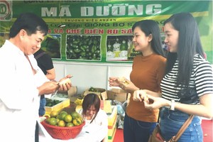 楊梓進(左)向顧客推銷有機水果。