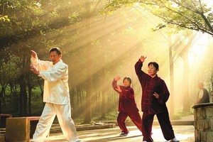 （示意圖來源：互聯網）