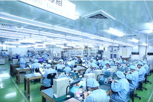 示意圖。（圖源：互聯網）