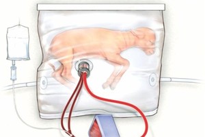 （資料圖來源：互聯網）