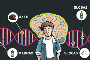 研究人員發現，他們分析的基因在個人的食物選擇和飲食習慣上扮演著重要的角色。（圖源：互聯網）