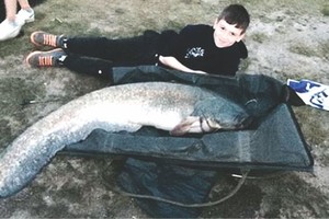 （資料圖：互聯網）