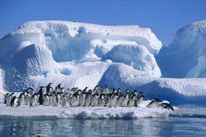 示意圖。（圖源：互聯網）