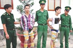 資料圖：互聯網